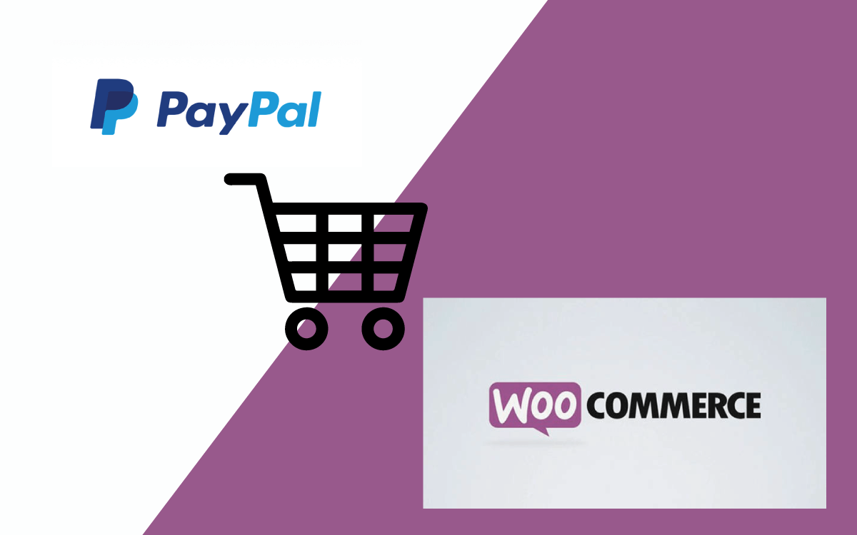 Pay pal della web agency RM Agency