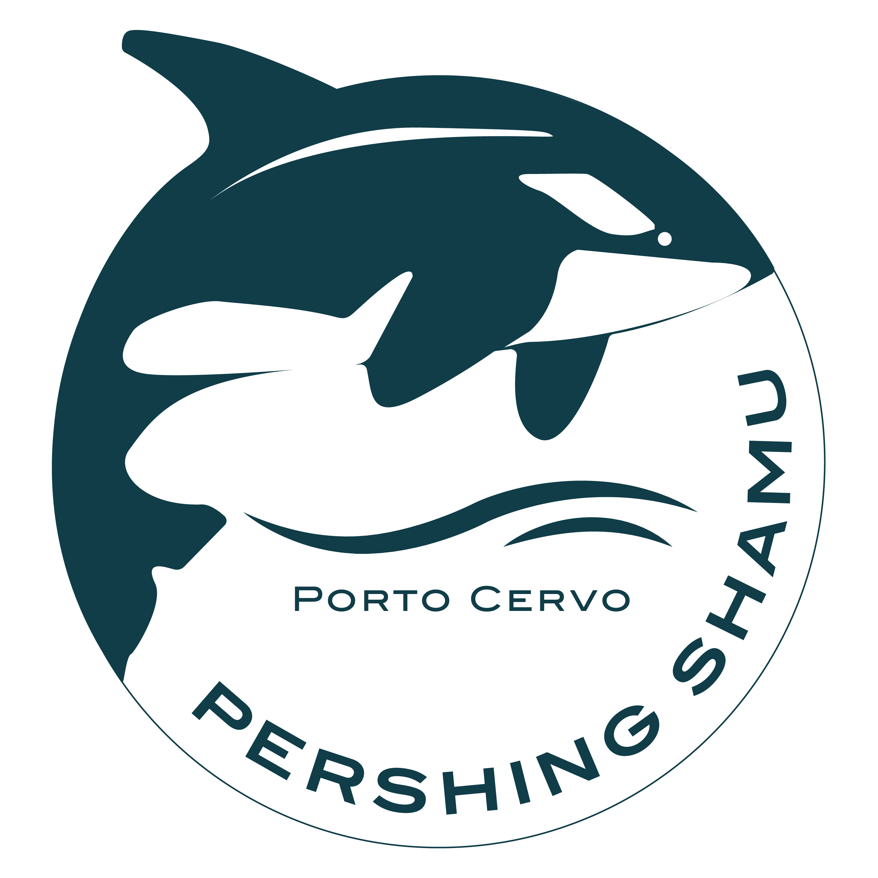Logo realizzato dalla web agency RM Agency