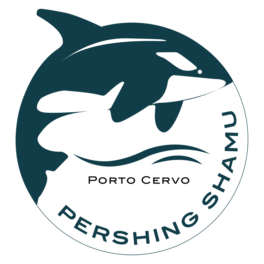 LOGO PERSHING SHAMU